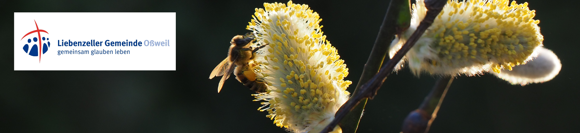 Liebenzeller Gemeinde Ludwigsburg-Ossweil